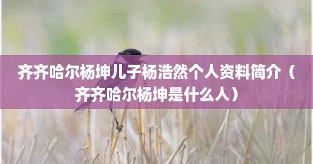 齐齐哈尔杨坤儿子杨浩然个人资料简介（齐齐哈尔杨坤是什么人）