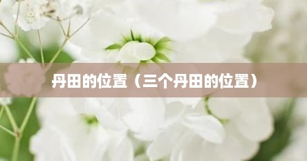 丹田的位置（三个丹田的位置）