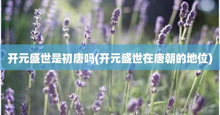 开元盛世是初唐吗(开元盛世在唐朝的地位)