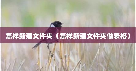 怎样新建文件夹（怎样新建文件夹做表格）