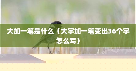 大加一笔是什么（大字加一笔变出36个字怎么写）