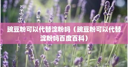 豌豆粉可以代替淀粉吗（豌豆粉可以代替淀粉吗百度百科）