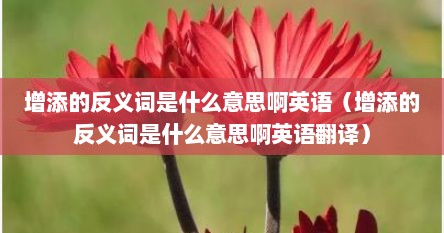 增添的反义词是什么意思啊英语（增添的反义词是什么意思啊英语翻译）