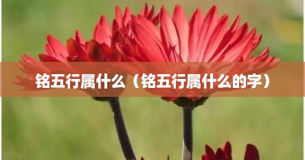 铭五行属什么（铭五行属什么的字）