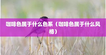 咖啡色属于什么色系（咖啡色属于什么风格）