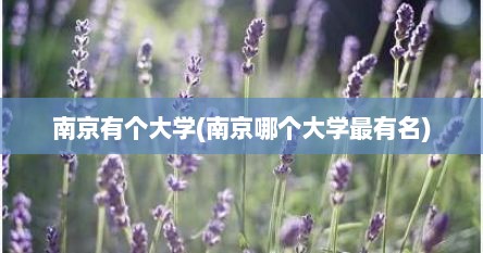 南京有个大学(南京哪个大学最有名)