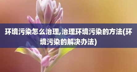 环境污染怎么治理,治理环境污染的方法(环境污染的解决办法)