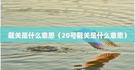 截关是什么意思（20号截关是什么意思）