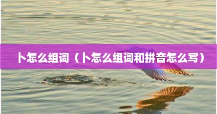 卜怎么组词（卜怎么组词和拼音怎么写）