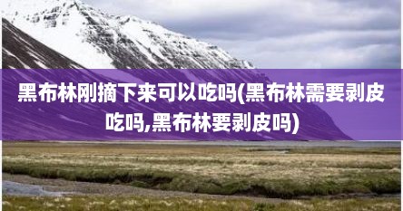 黑布林刚摘下来可以吃吗(黑布林需要剥皮吃吗,黑布林要剥皮吗)