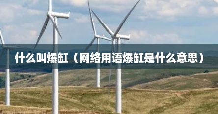 什么叫爆缸（网络用语爆缸是什么意思）