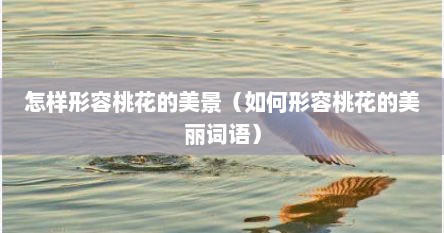 怎样形容桃花的美景（如何形容桃花的美丽词语）
