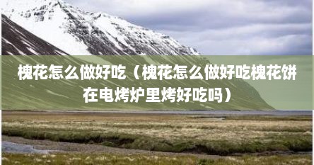 槐花怎么做好吃（槐花怎么做好吃槐花饼在电烤炉里烤好吃吗）