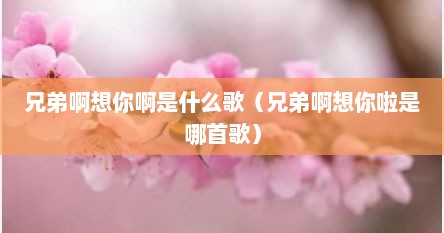 兄弟啊想你啊是什么歌（兄弟啊想你啦是哪首歌）