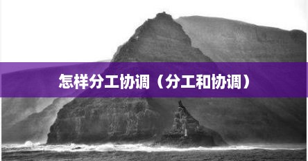 怎样分工协调（分工和协调）