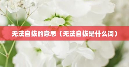 无法自拔的意思（无法自拔是什么词）