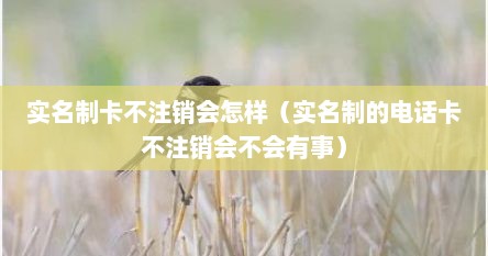 实名制卡不注销会怎样（实名制的电话卡不注销会不会有事）
