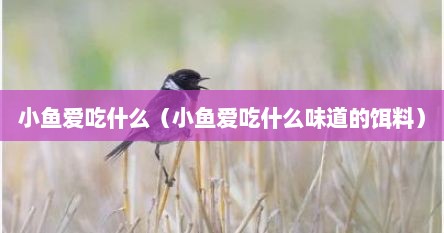 小鱼爱吃什么（小鱼爱吃什么味道的饵料）