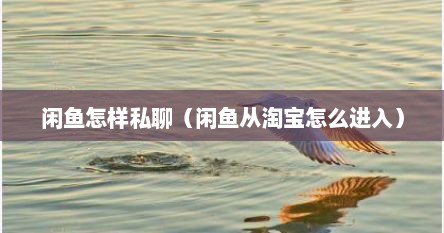 闲鱼怎样私聊（闲鱼从淘宝怎么进入）