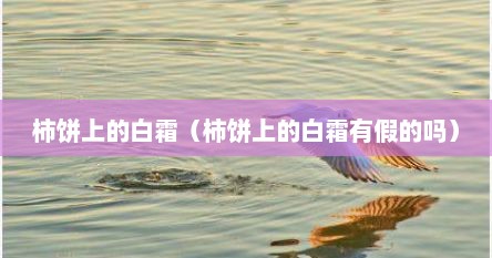 柿饼上的白霜（柿饼上的白霜有假的吗）