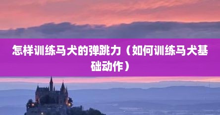 怎样训练马犬的弹跳力（如何训练马犬基础动作）
