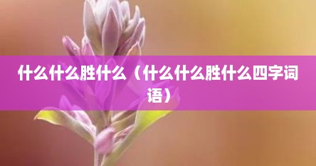 什么什么胜什么（什么什么胜什么四字词语）