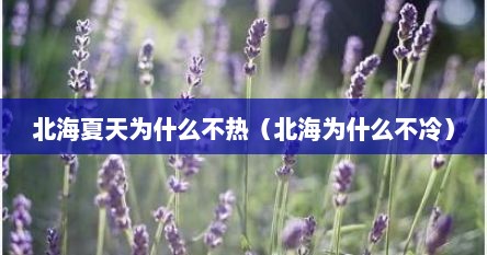 北海夏天为什么不热（北海为什么不冷）