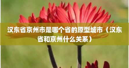 汉东省京州市是哪个省的原型城市（汉东省和京州什么关系）