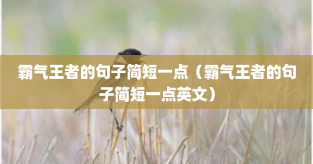 霸气王者的句子简短一点（霸气王者的句子简短一点英文）