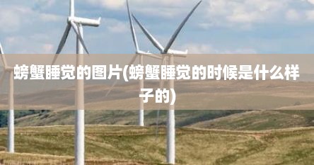 螃蟹睡觉的图片(螃蟹睡觉的时候是什么样子的)