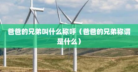 父亲的兄弟叫什么称呼（爸爸的兄弟称呼大全）