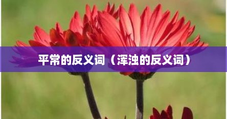 平常的反义词（浑浊的反义词）