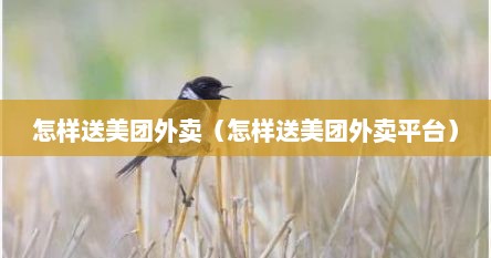 怎样送美团外卖（怎样送美团外卖平台）