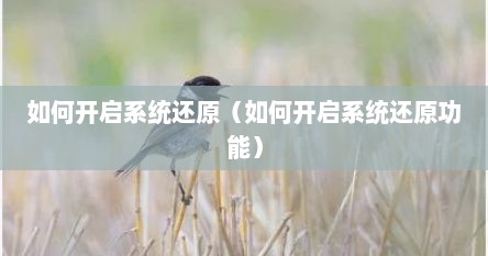 如何开启系统还原（如何开启系统还原功能）