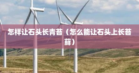 怎样让石头长青苔（怎么能让石头上长苔藓）