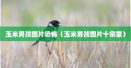 玉米男孩图片恐怖(玉米男孩图片十宗罪)