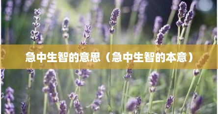 急中生智的意思（急中生智的本意）