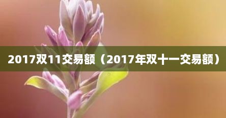 2017双11交易额（2017年双十一交易额）