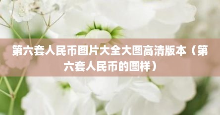 第六套人民币图片大全大图高清版本（第六套人民币的图样）