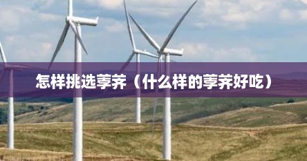 怎样挑选荸荠（什么样的荸荠好吃）