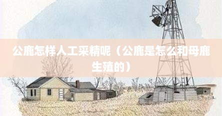 公鹿怎样人工采精呢（公鹿是怎么和母鹿生殖的）