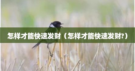 怎样才能快速发财（怎样才能快速发财?）