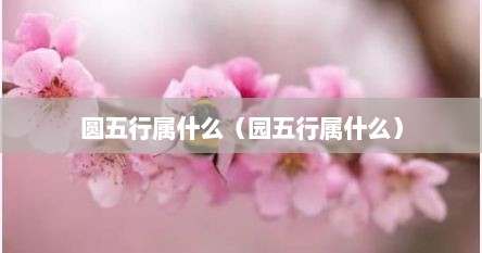 圆五行属什么（园五行属什么）