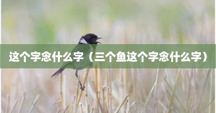 这个字念什么字（三个鱼这个字念什么字）