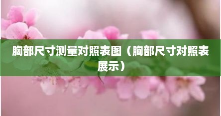 胸部尺寸测量对照表图（胸部尺寸对照表展示）