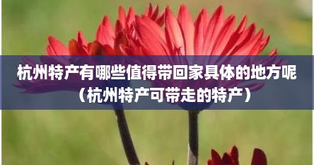 杭州特产有哪些值得带回家具体的地方呢（杭州特产可带走的特产）
