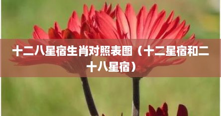 十二八星宿生肖对照表图（十二星宿和二十八星宿）