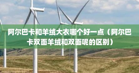 阿尔巴卡和羊绒大衣哪个好一点（阿尔巴卡双面羊绒和双面呢的区别）