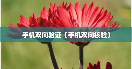 手机双向验证（手机双向核验）