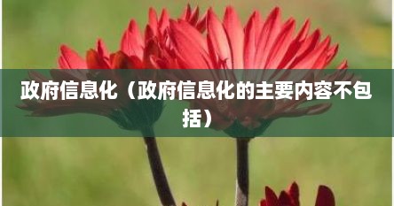 政府信息化（政府信息化的主要内容不包括）